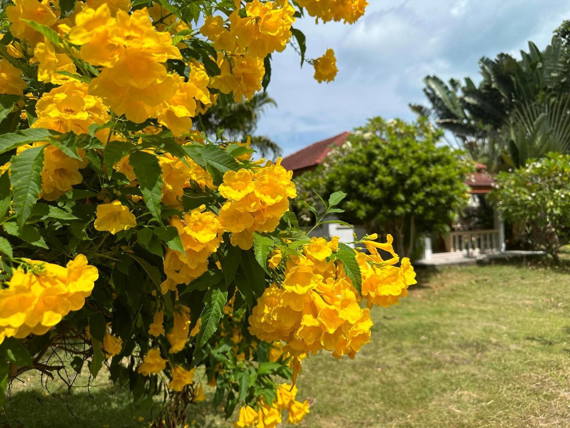 สมุย การ์เดน รีสอร์ต Apartment หาดบางรัก ภายนอก รูปภาพ