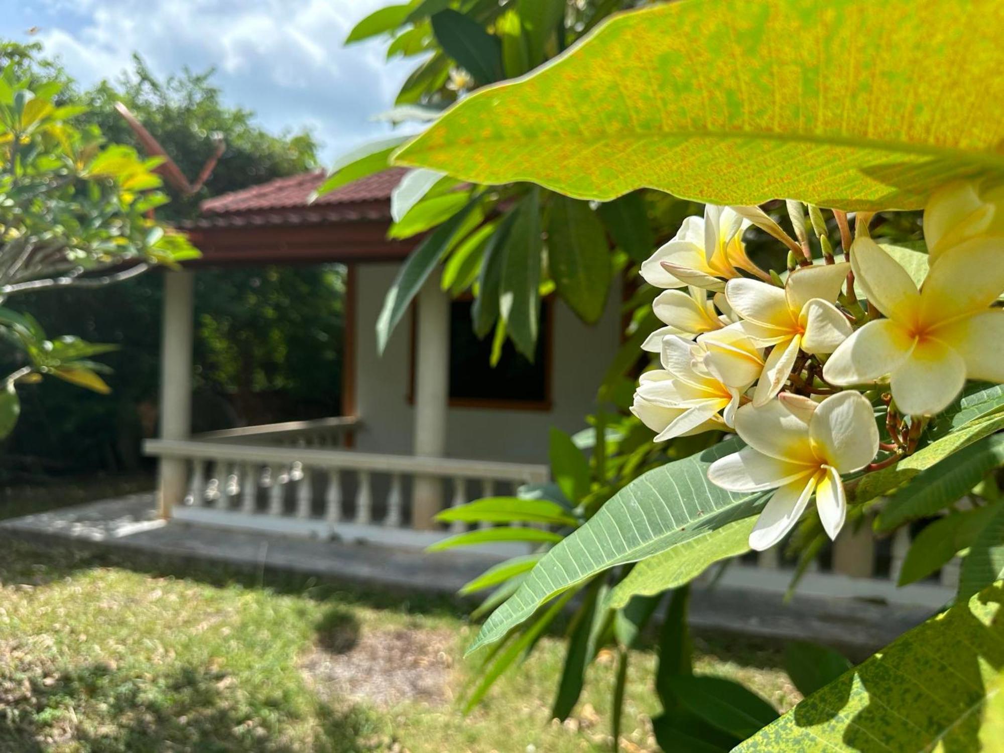 สมุย การ์เดน รีสอร์ต Apartment หาดบางรัก ภายนอก รูปภาพ