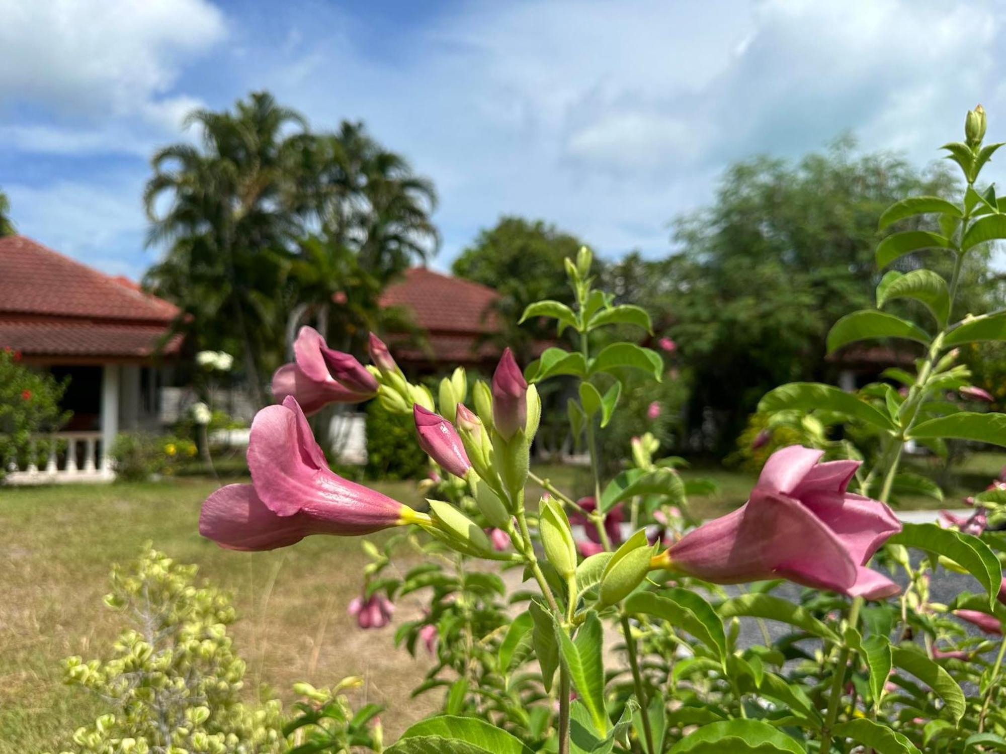สมุย การ์เดน รีสอร์ต Apartment หาดบางรัก ภายนอก รูปภาพ